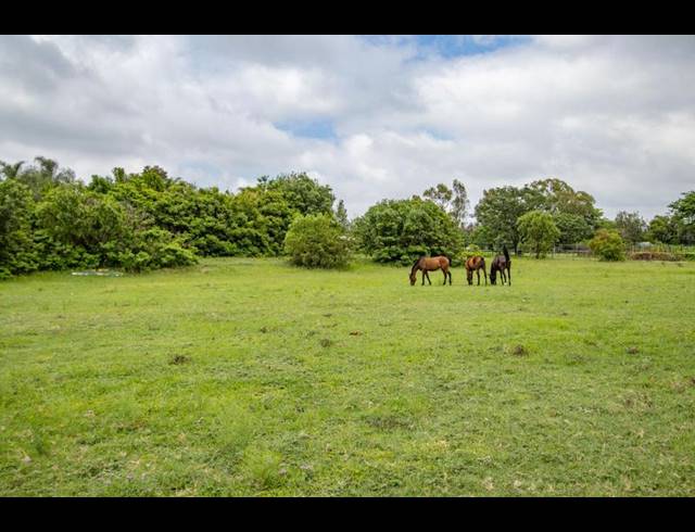 4 BEDROOM HOUSE FOR SALE IN KYALAMI AH